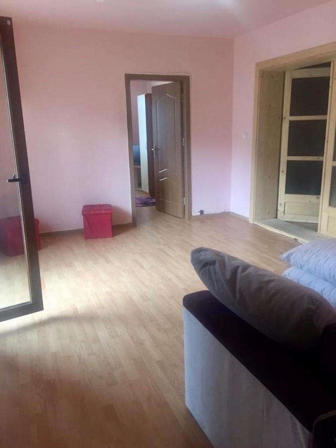 Pensiunea Magda Câmpulung Moldovenesc Buitenkant foto