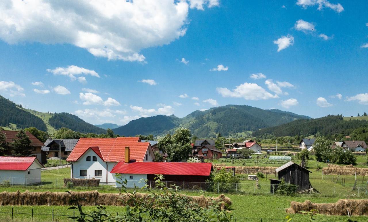 Pensiunea Magda Câmpulung Moldovenesc Buitenkant foto